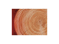 木材業・建材業総合システム